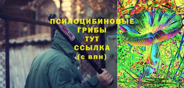 сатива Белоозёрский