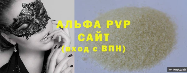 сатива Белоозёрский