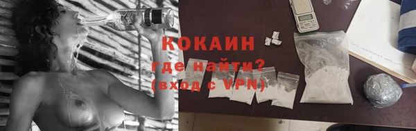 сатива Белоозёрский