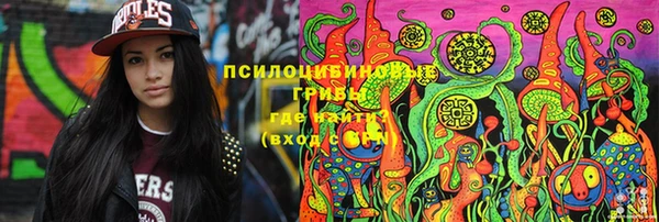 СК Беломорск