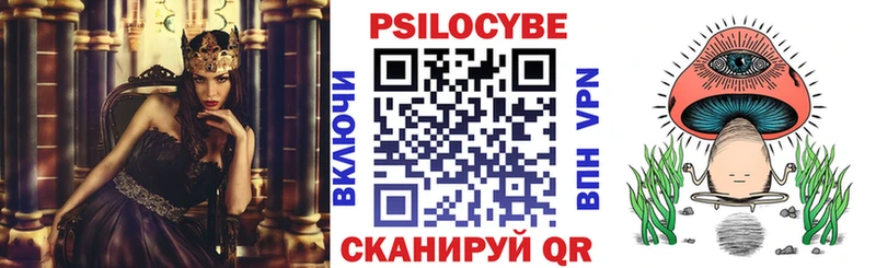 Псилоцибиновые грибы мицелий  где купить наркоту  Реж 